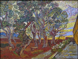 De tuin van de inrichting Saint Paul